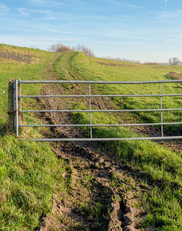 Steel rural fencing product on green grass